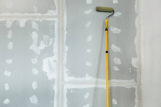 Best Drywall Crack Repair  in Marcus, IA